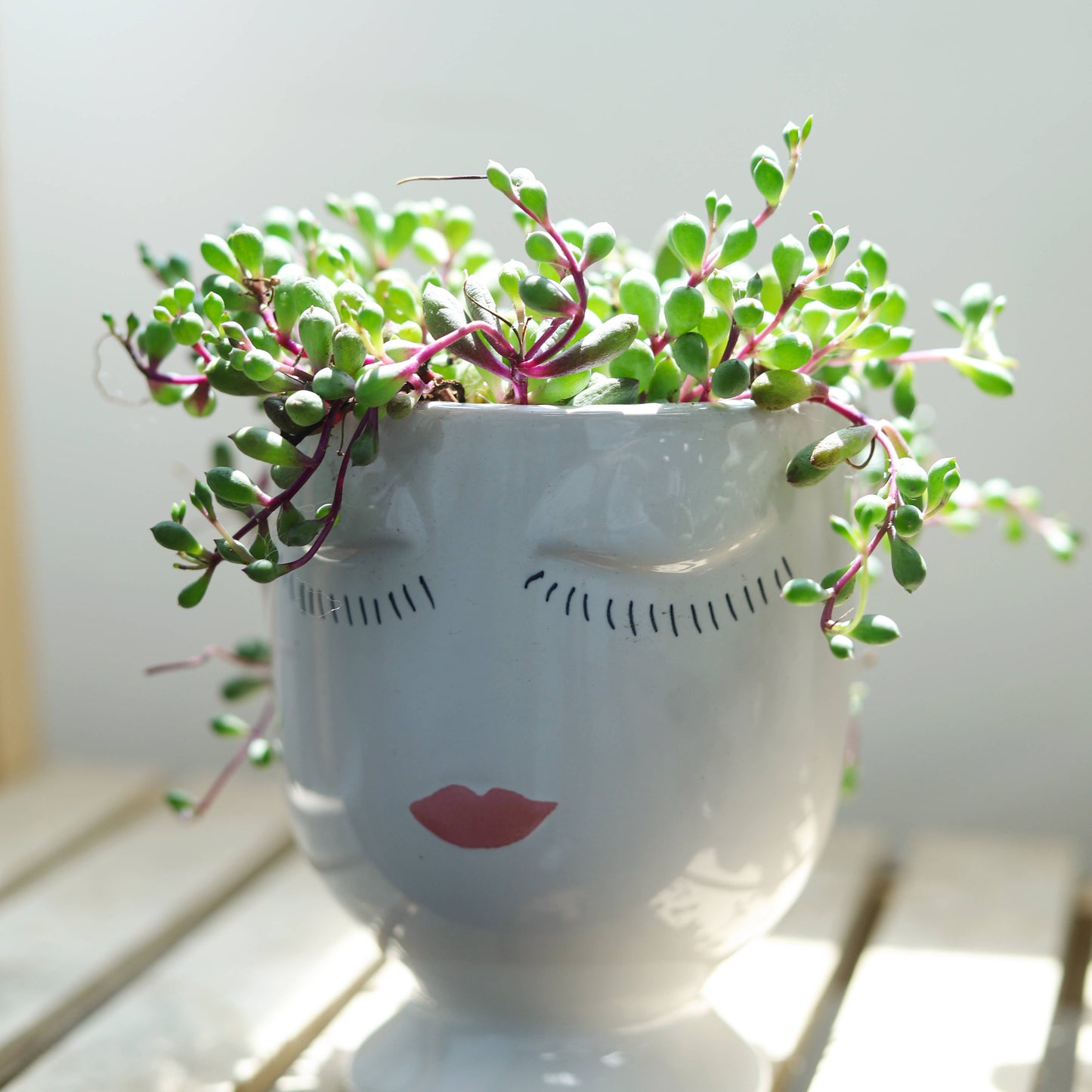 Hand-painted Lady Face Planter - Ceramic Pots For Plants