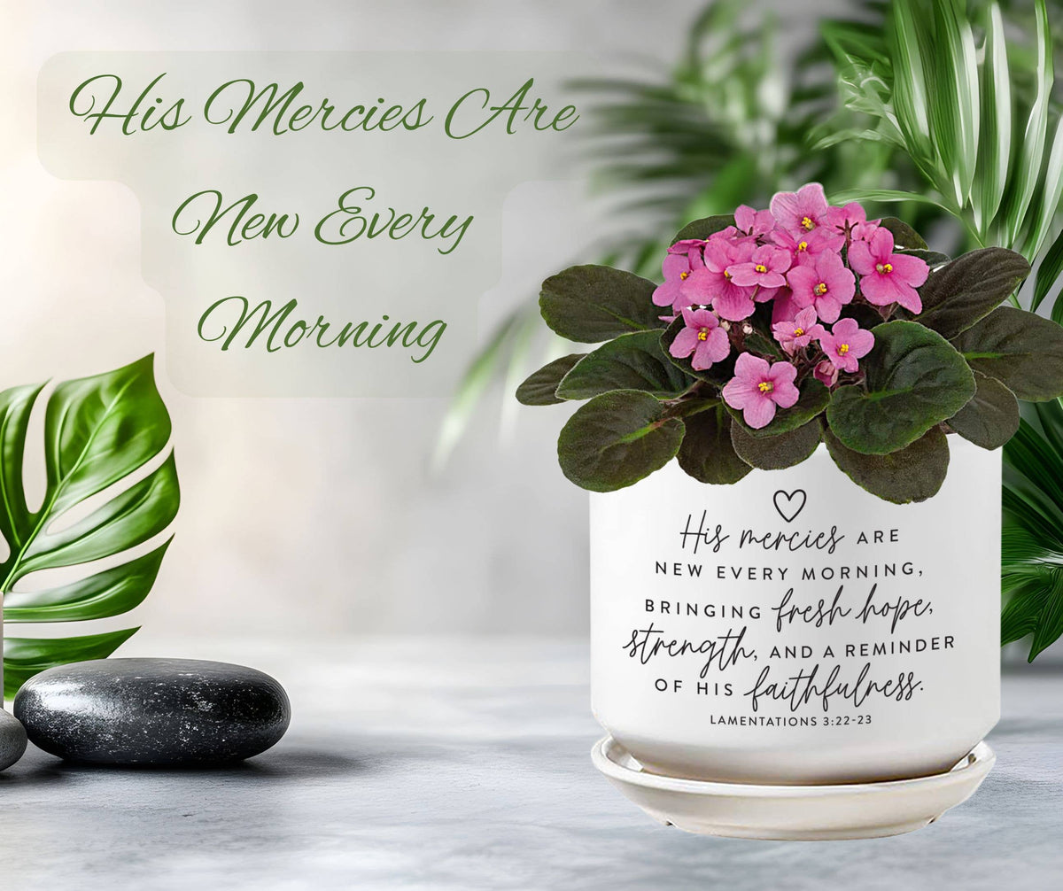 Planter His Mercies Are New Morning