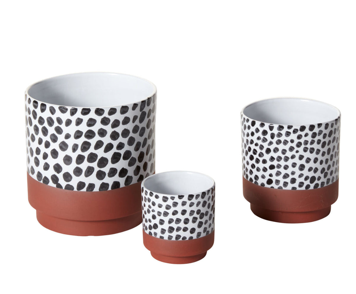 Lassen Pot