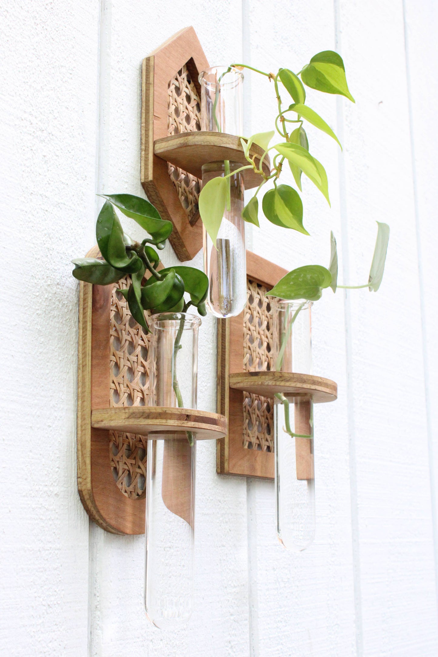 Rattan Propagation Planters