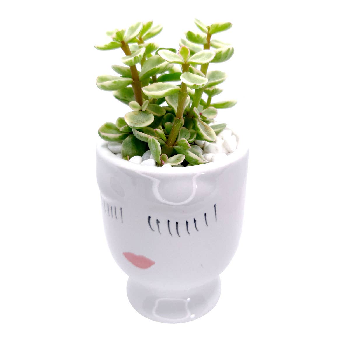 Hand-painted Lady Face Planter - Ceramic Pots For Plants