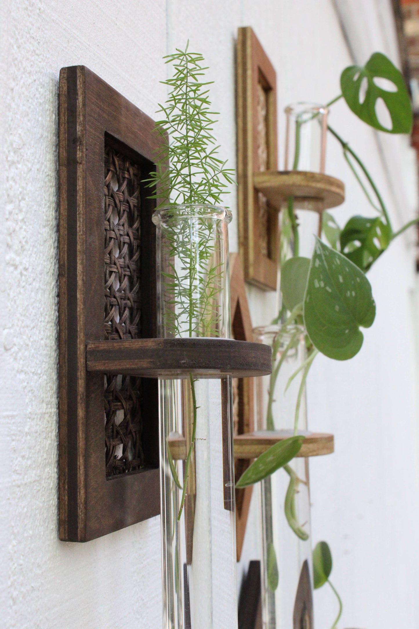 Rattan Propagation Planters