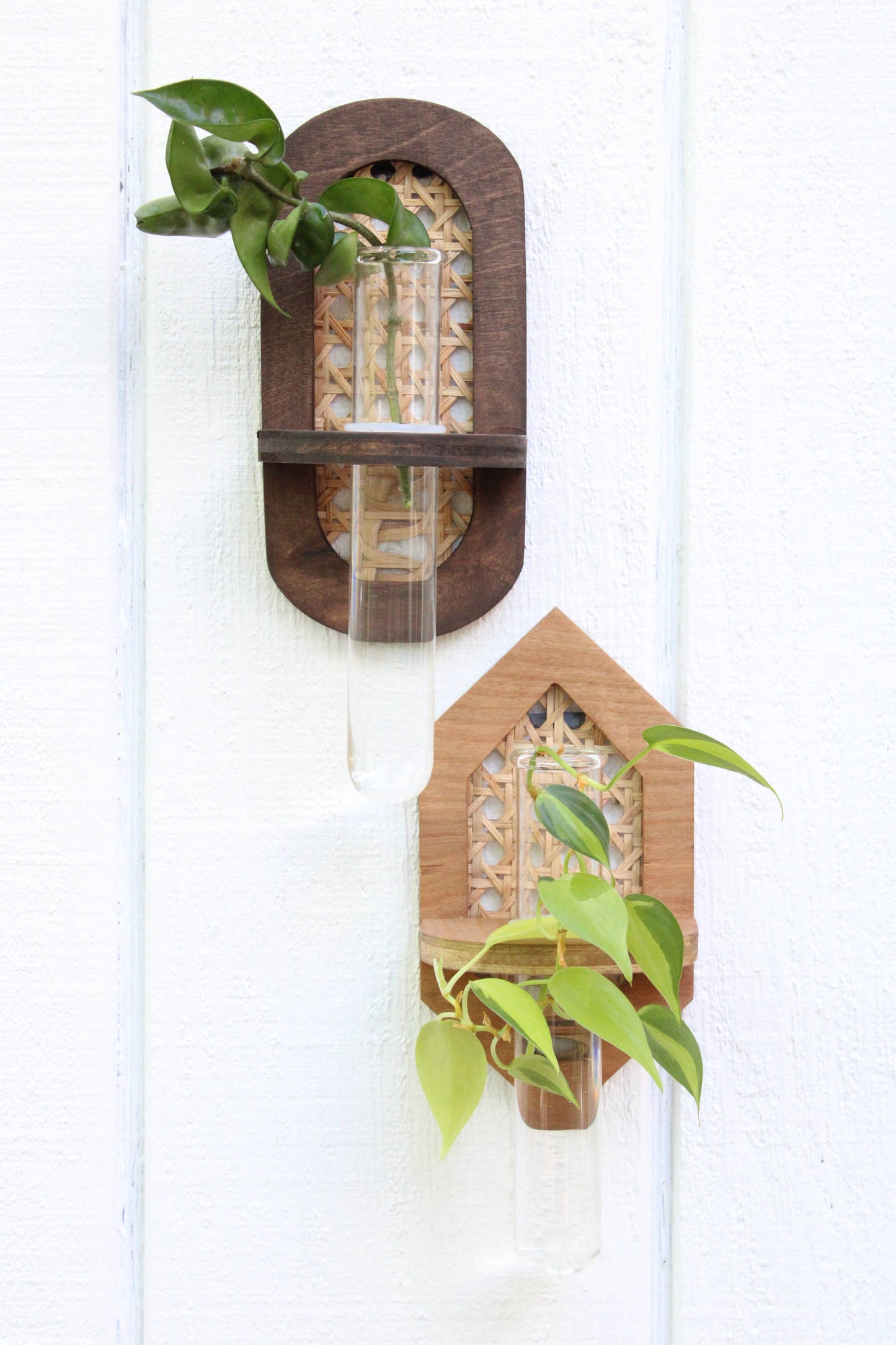 Rattan Propagation Planters