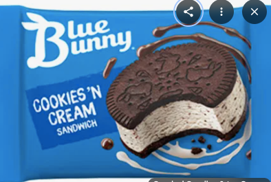 Ice Cream Cookies & Cream Sandwich