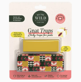 Gnat Traps