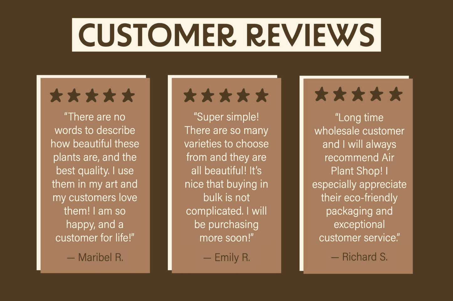 Lg Air Plant Ornament