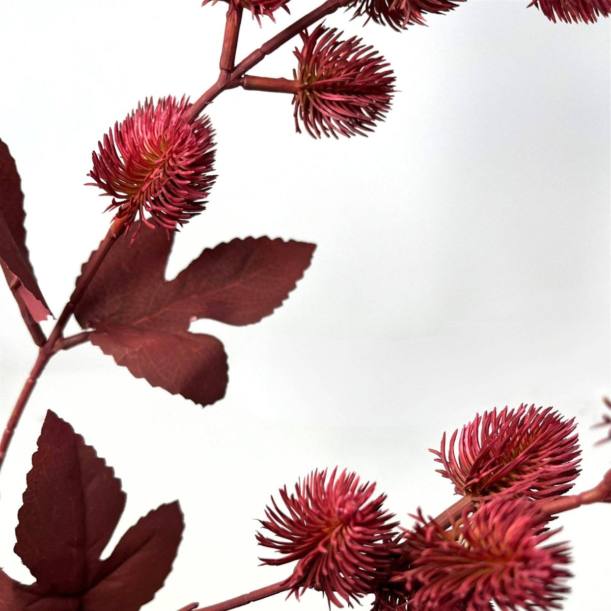 Thistle Branch 32" - Red