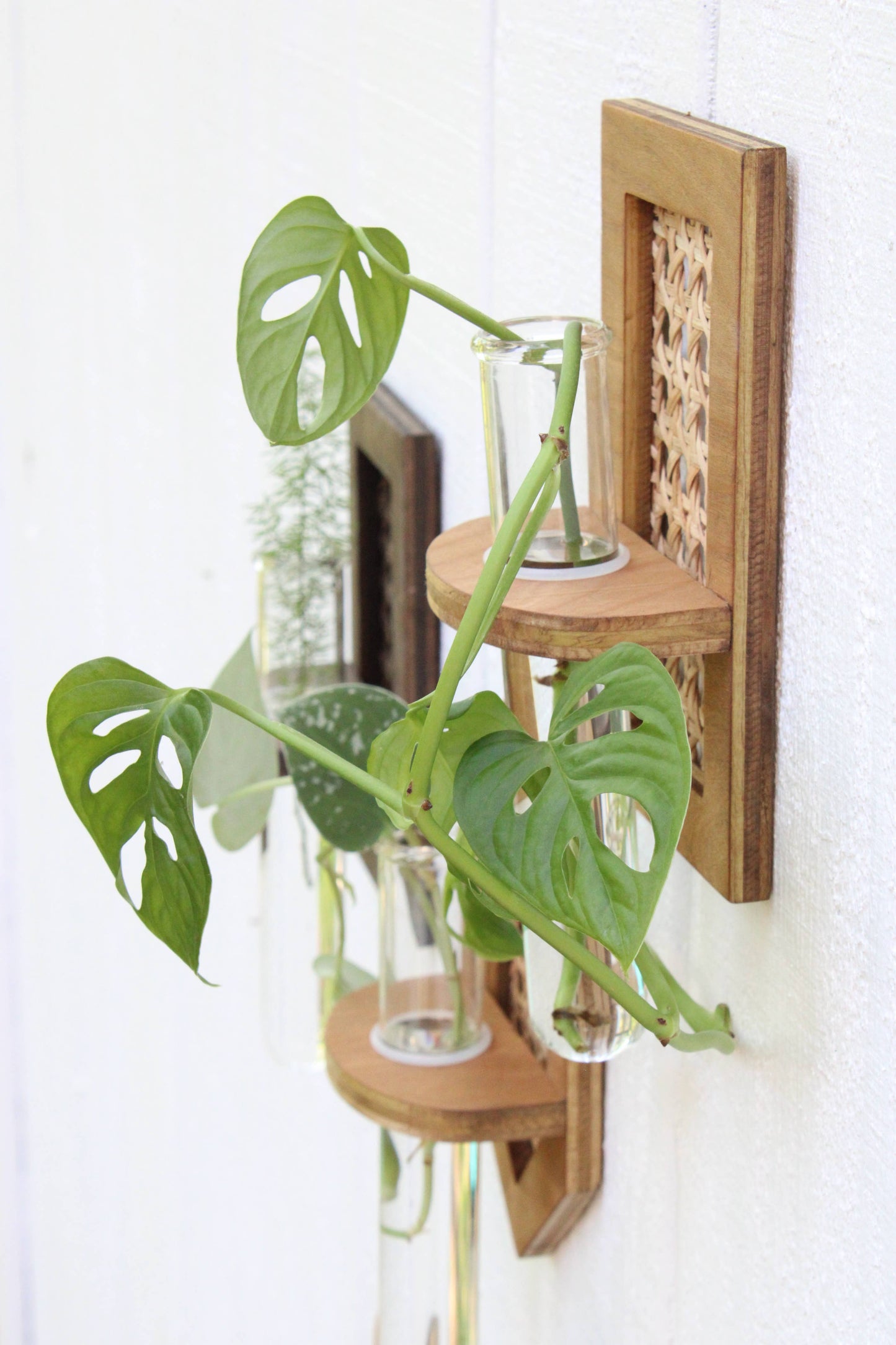 Rattan Propagation Planters