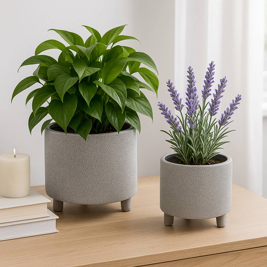 Planters Set of 2 - Silver Ceramic Footed Scratched, 6/8 in.