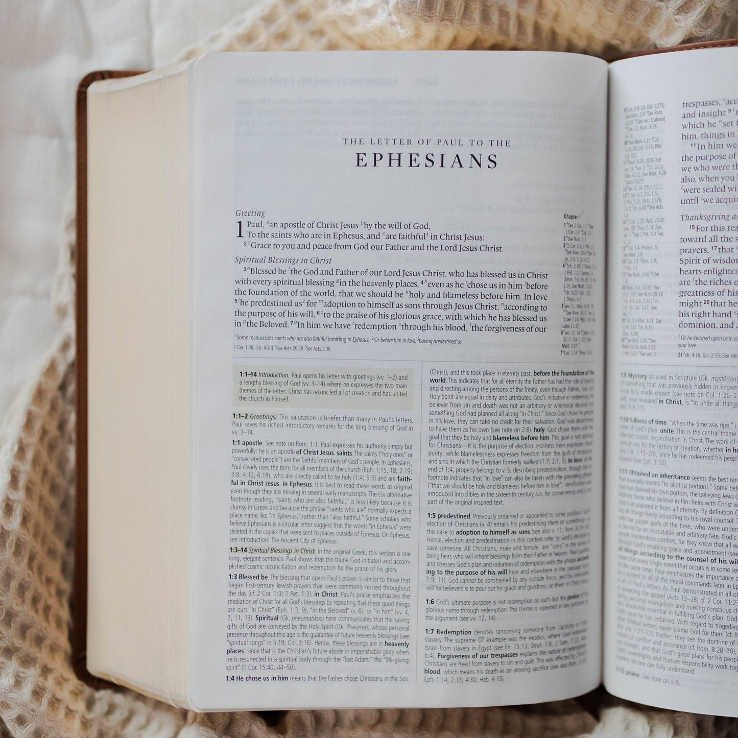 ESV Study Bible, TruTone® | Wondrous Things