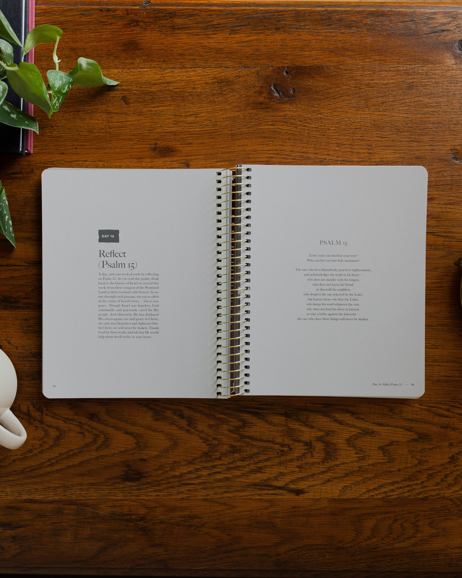 Clinging to the Cross | Lent Bible Study