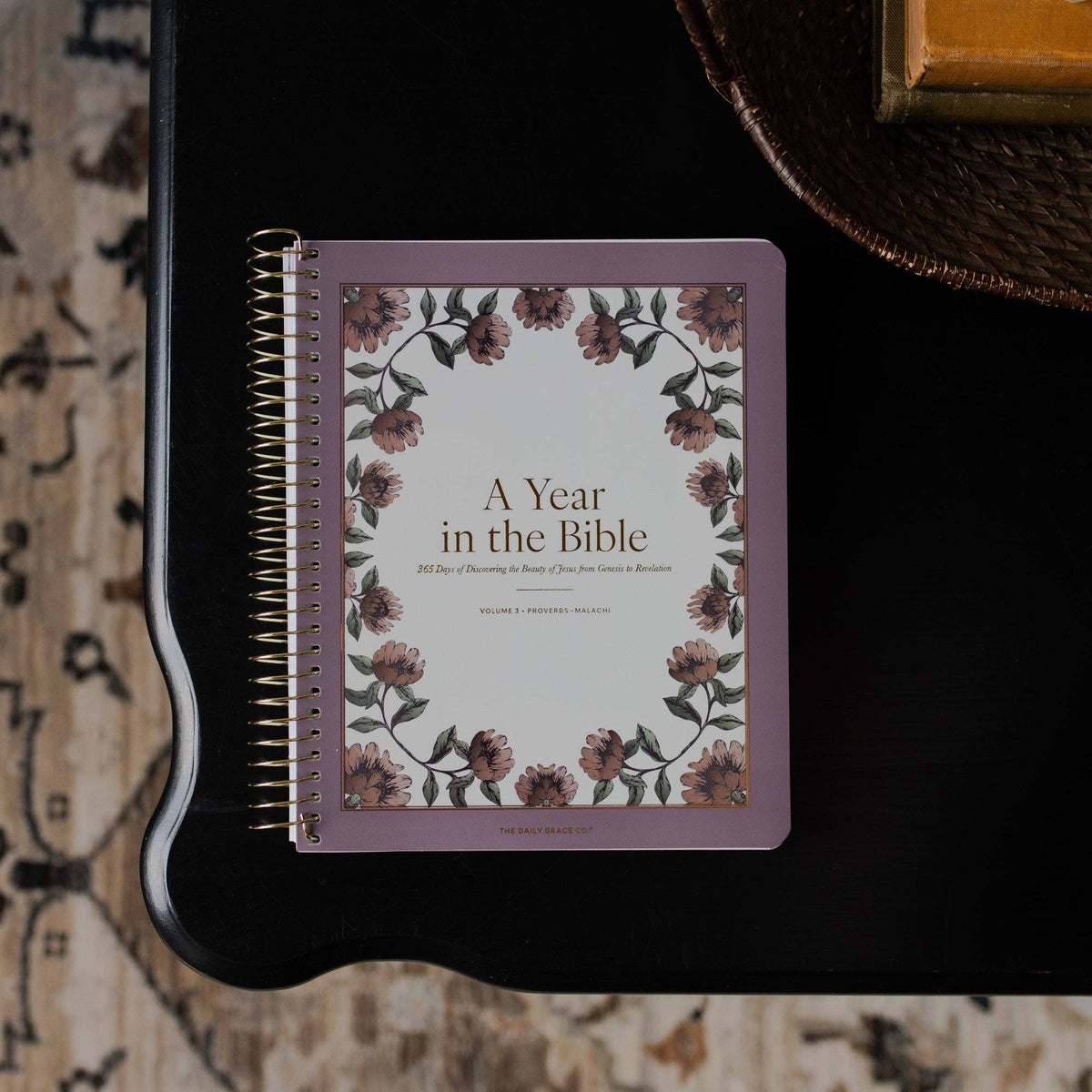 A Year in the Bible | 365 Days of Discovering the Beauty of Jesus from Genesis to Revelation | Volume 3