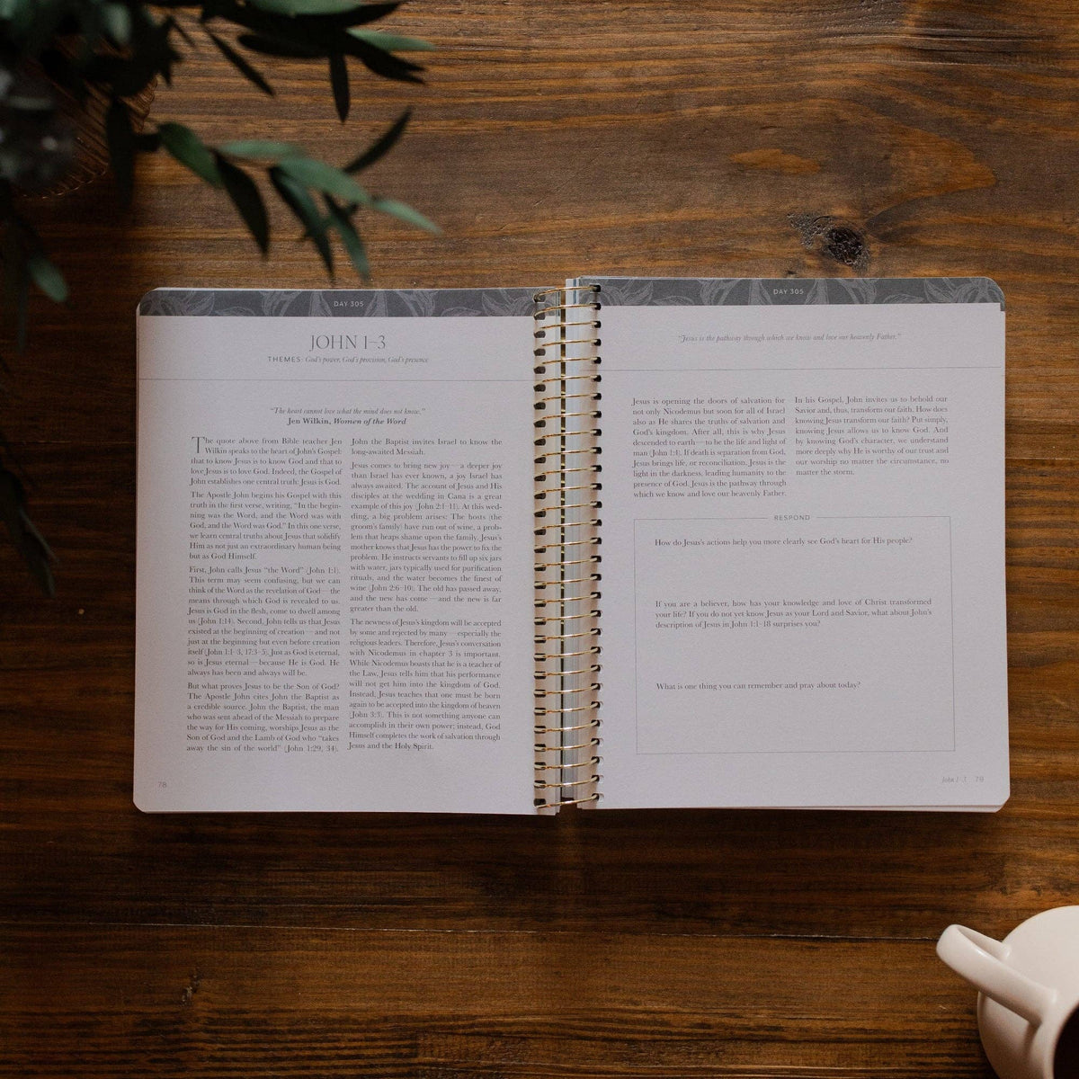 A Year in the Bible | 365 Days of Discovering the Beauty of Jesus from Genesis to Revelation | Volume 4