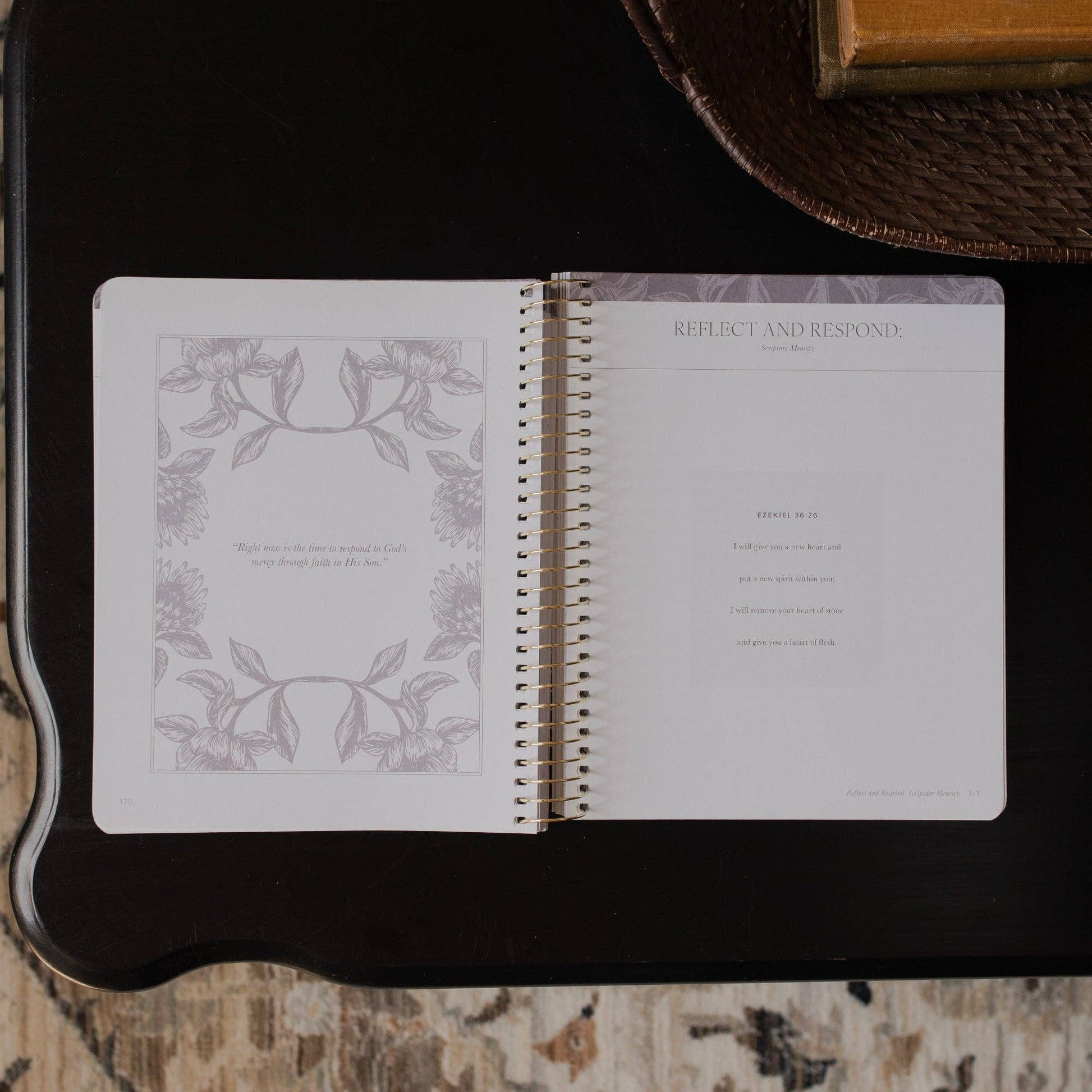 A Year in the Bible | 365 Days of Discovering the Beauty of Jesus from Genesis to Revelation | Volume 3