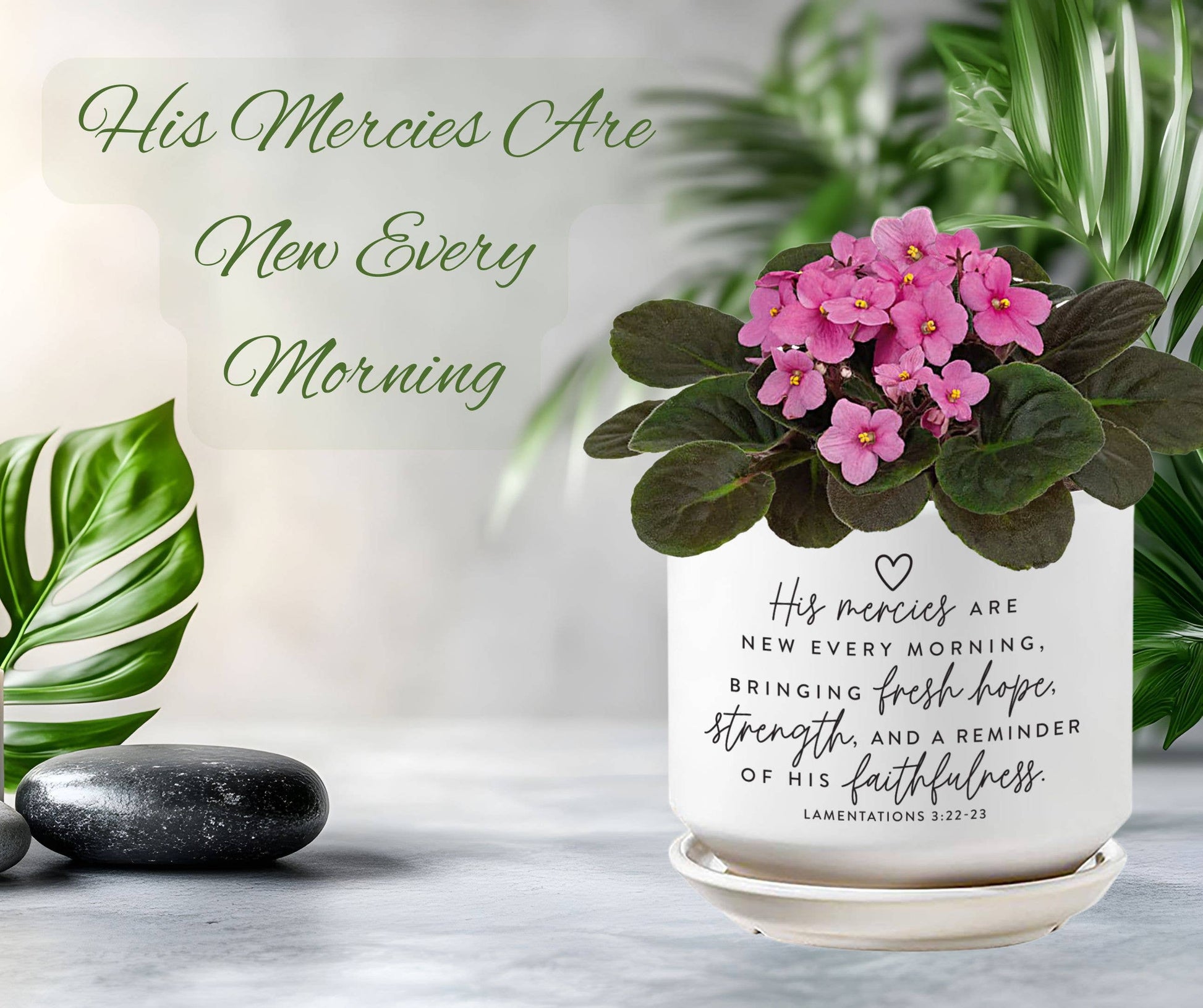 Planter His Mercies Are New Morning