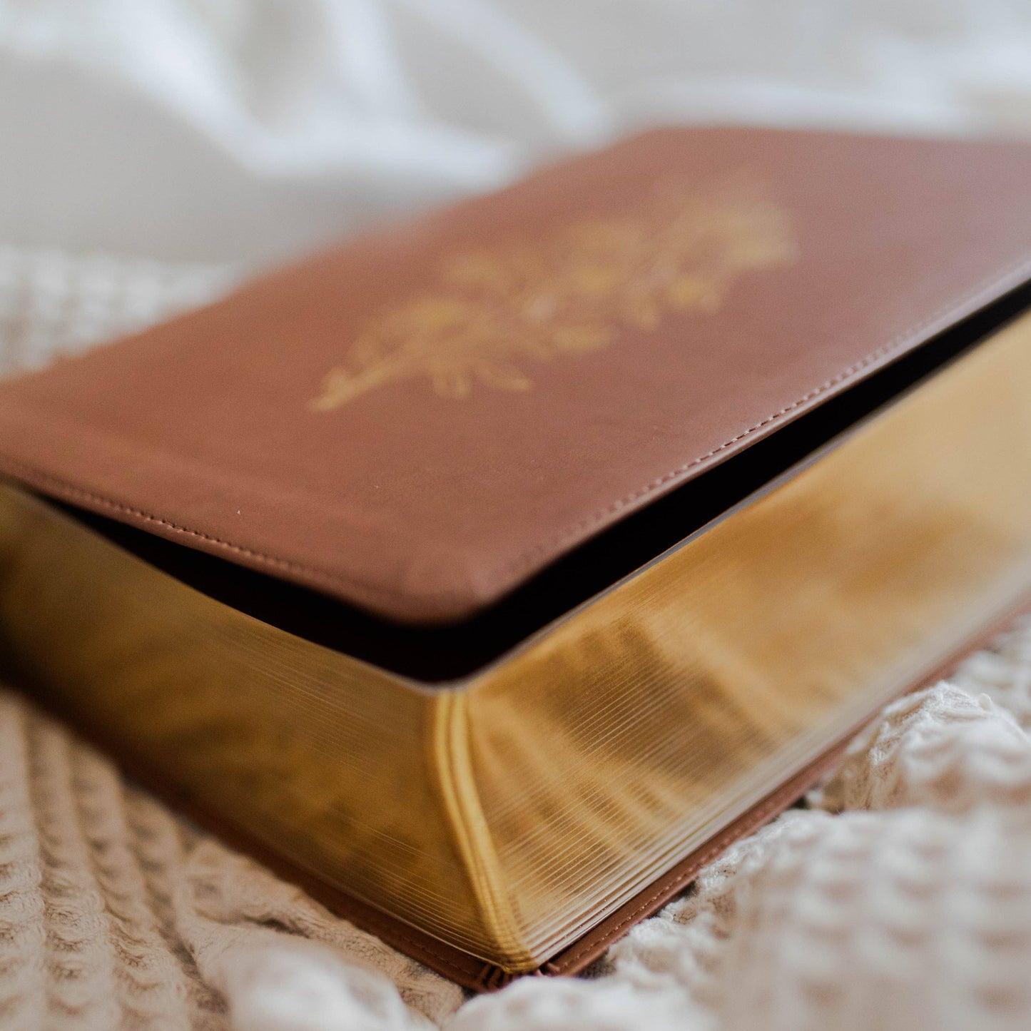 ESV Study Bible, TruTone® | Wondrous Things