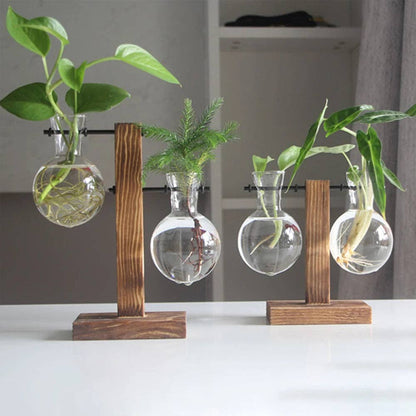 Glass Vase