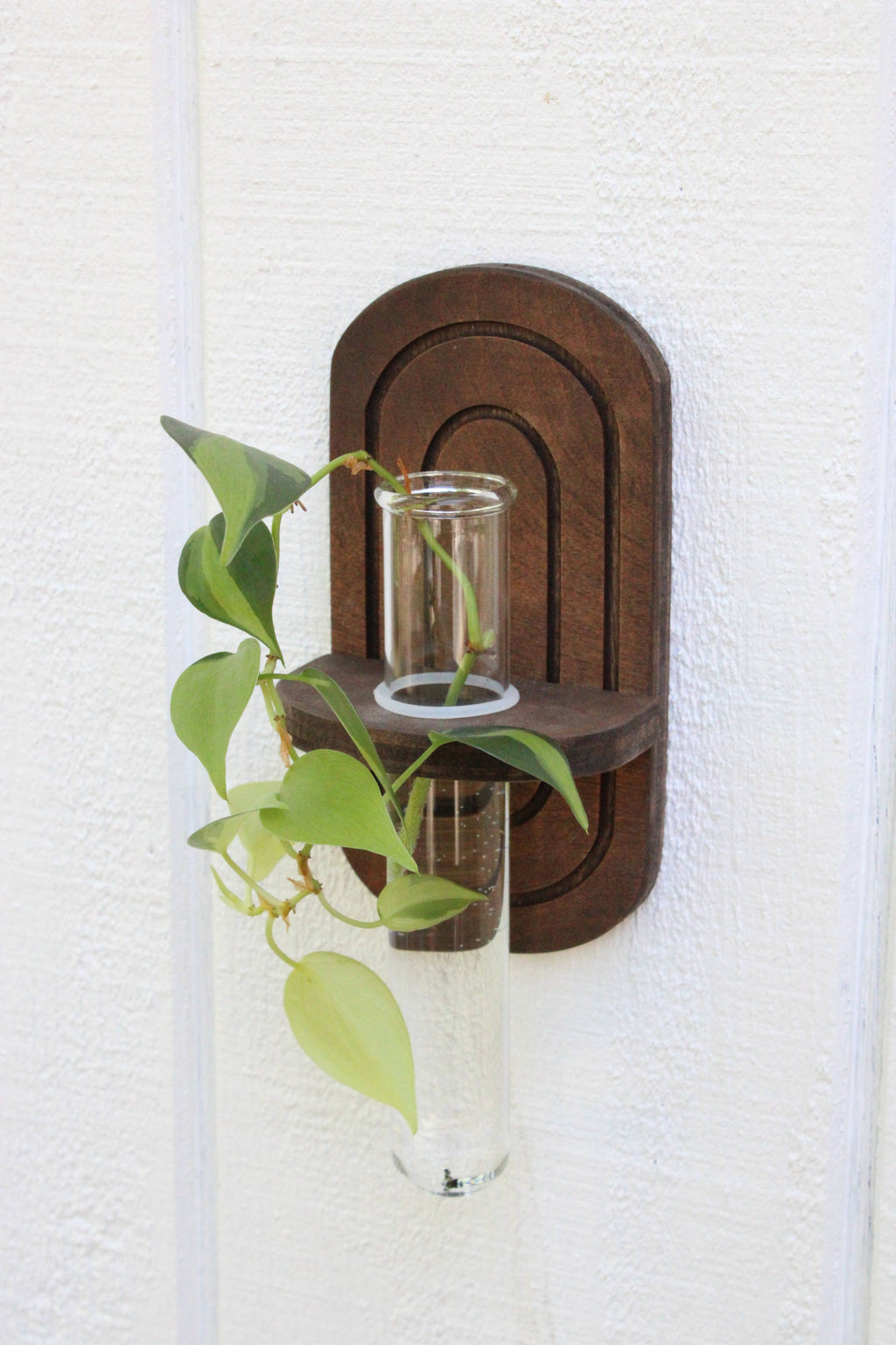 Rainbow Propagation Planter