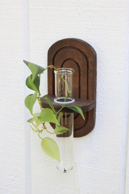 Rainbow Propagation Planter