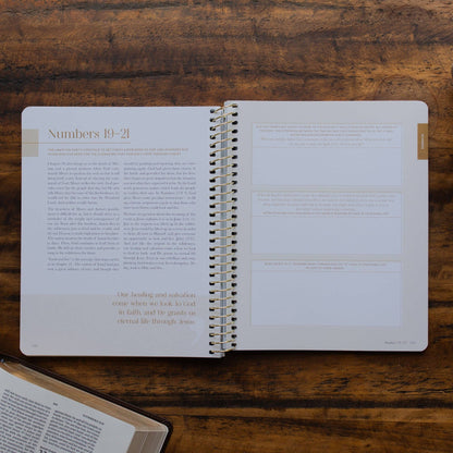 Eden to Eternity | Chronological Bible Study | Volume 1 (Spiral Bound)