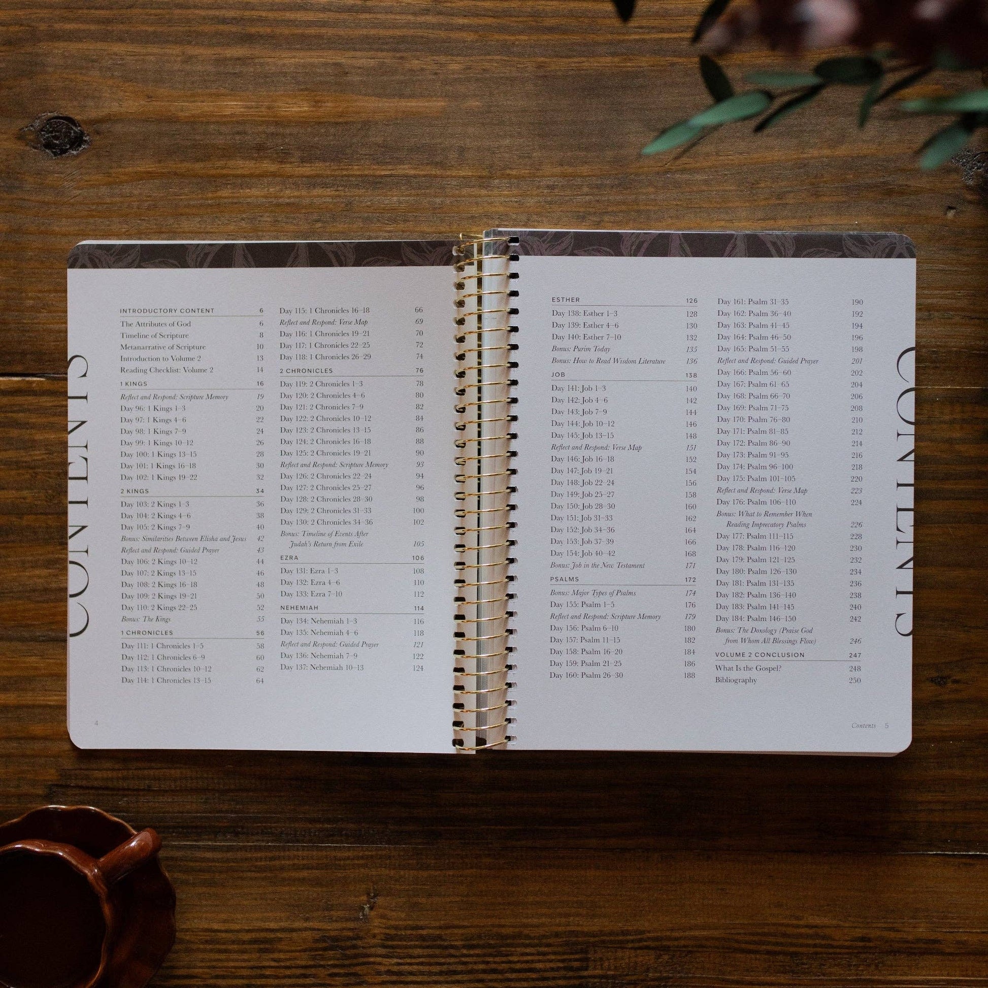 A Year in the Bible | 365 Days of Discovering the Beauty of Jesus from Genesis to Revelation | Volume 2