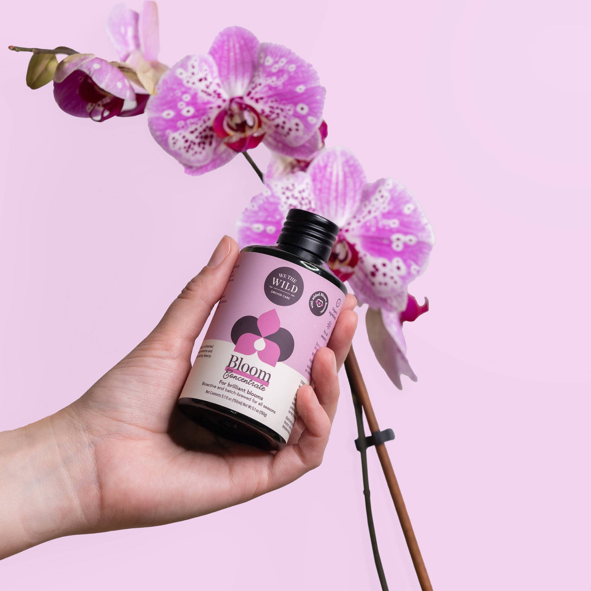 Orchid Care Essential Kit