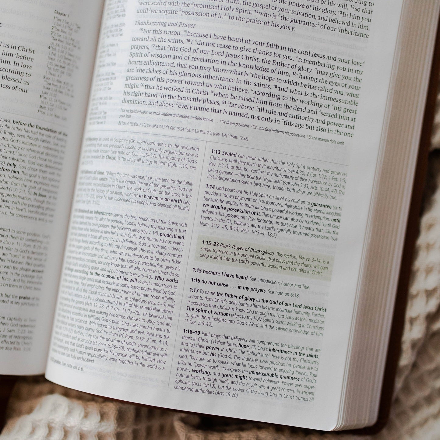 ESV Study Bible, TruTone® | Wondrous Things