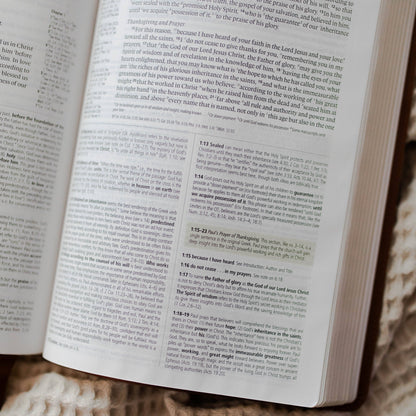 ESV Study Bible, TruTone® | Wondrous Things