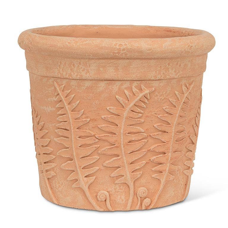 Fern Roll Rim Planter