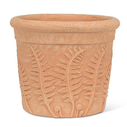 Fern Roll Rim Planter
