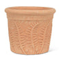 Fern Roll Rim Planter