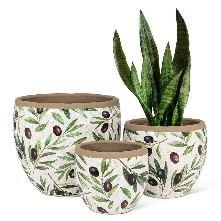 Olive & Branch Planter
