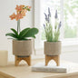 Planters On Stands Set of 2 - Tan Ceramic Mesh, 5/8 in.