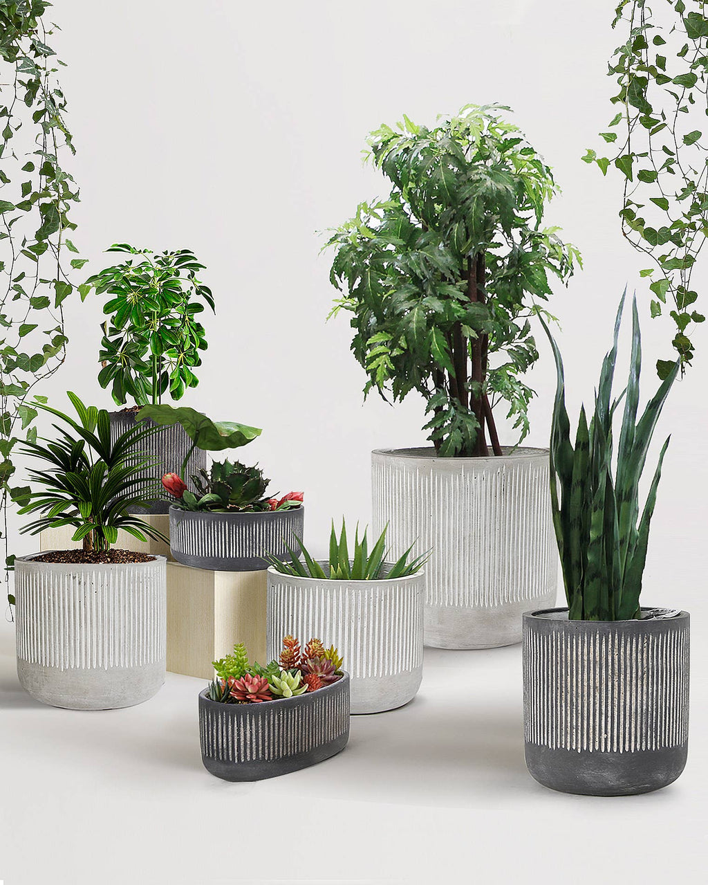 Ceramic Bamboo Ridged Planter - Oval Pot