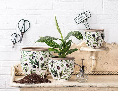 Olive & Branch Planter