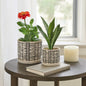Planters Set of 2 - Beige Ceramic Geometric Saucer, 6/8 in.