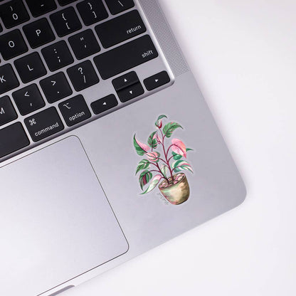 Pink Princess Sticker - House Plant Stickers