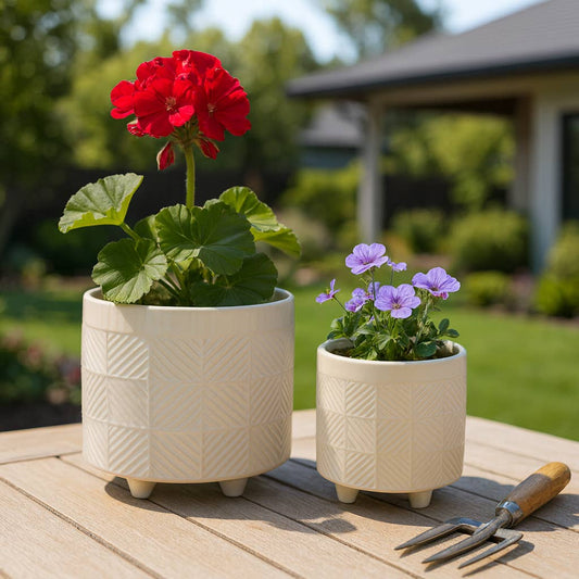 Planters Set of 2 - White Ceramic Textured Footed, 6/8 in.