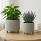 Planters Set of 2 - Silver Ceramic Footed Scratched, 6/8 in.