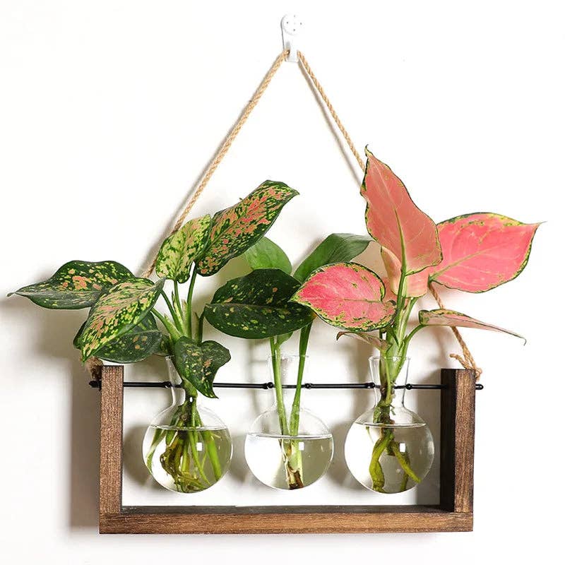 Plant Propagating Stand