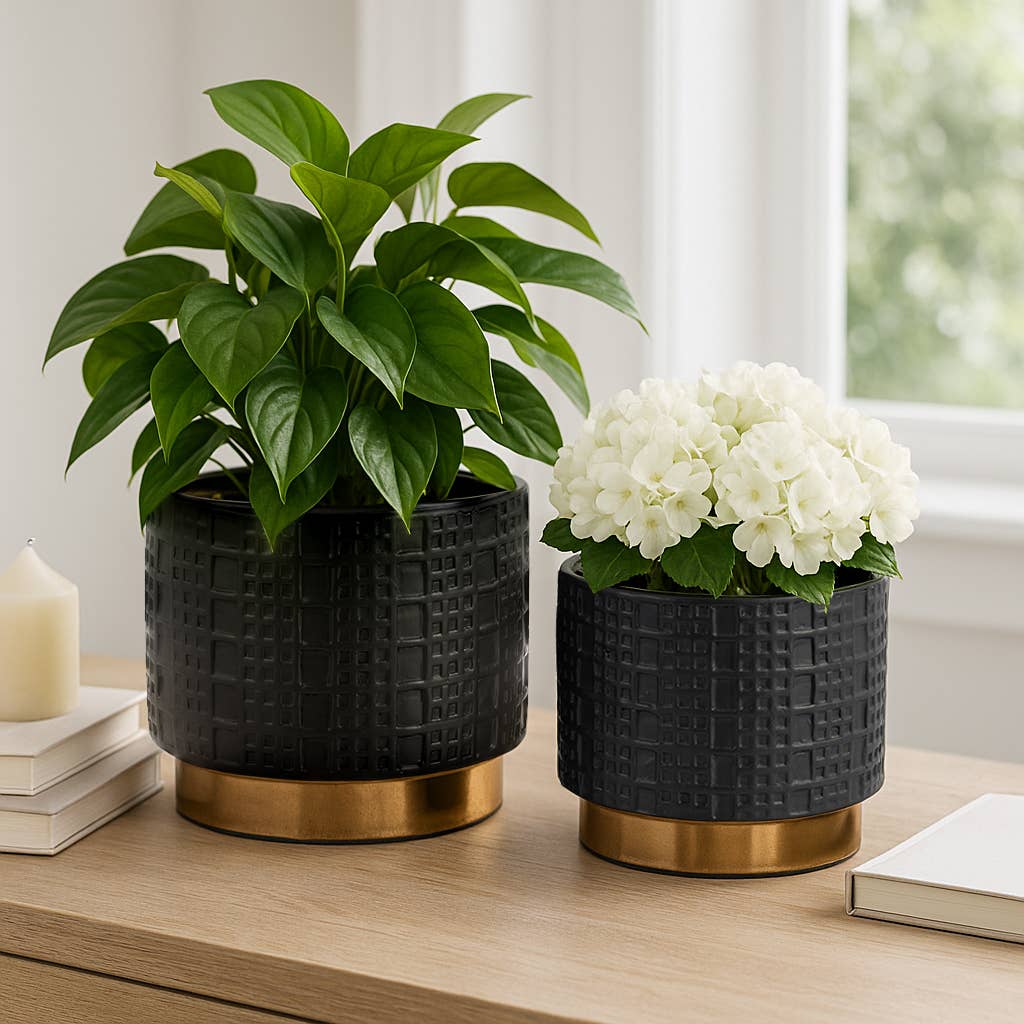 Planter Set of 2 - Black Ceramic Raised Mesh, 6/8 in.