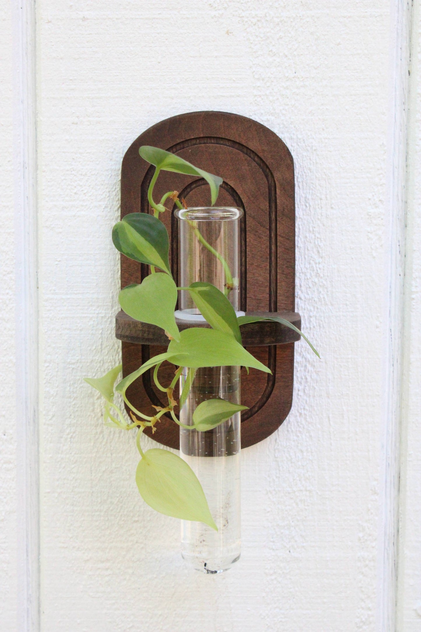 Rainbow Propagation Planter