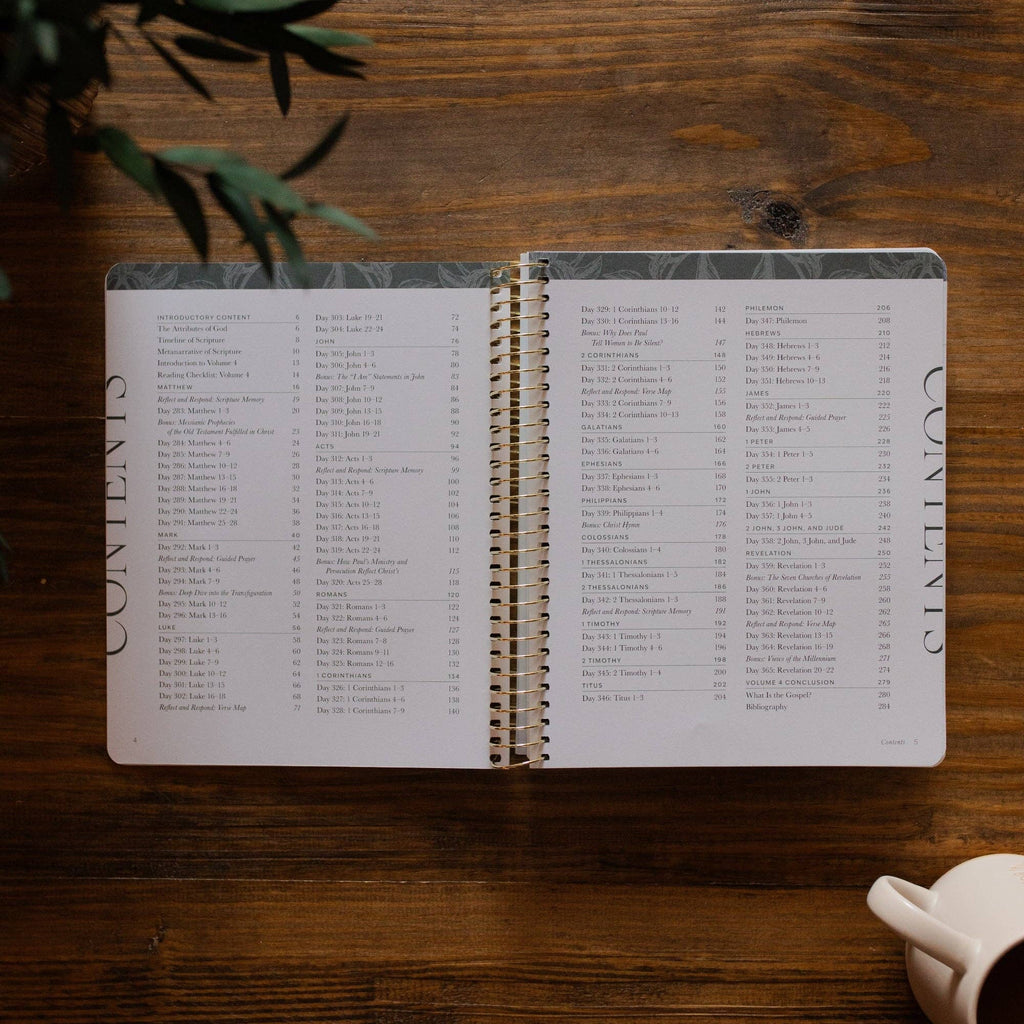 A Year in the Bible | 365 Days of Discovering the Beauty of Jesus from Genesis to Revelation | Volume 4