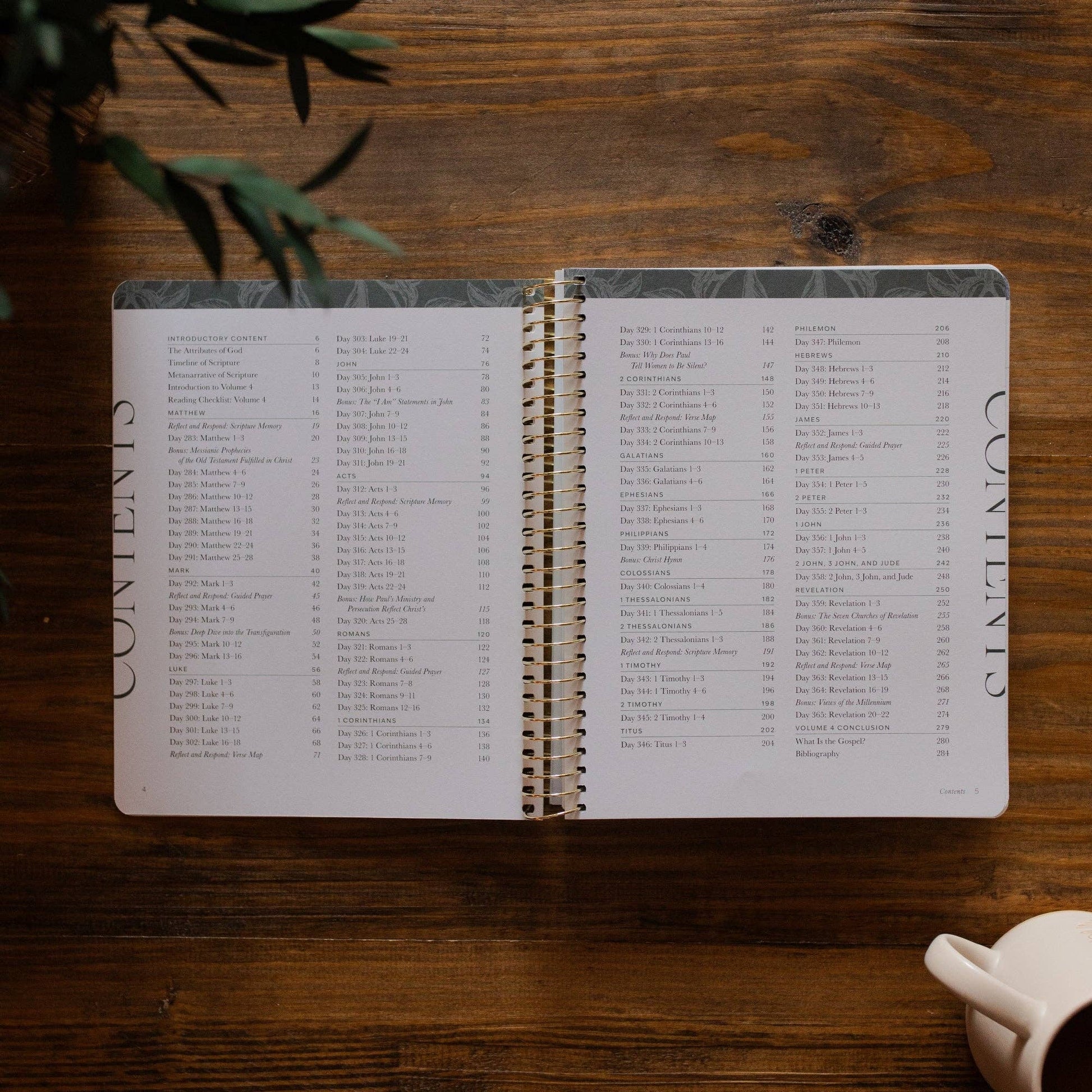 A Year in the Bible | 365 Days of Discovering the Beauty of Jesus from Genesis to Revelation | Volume 4