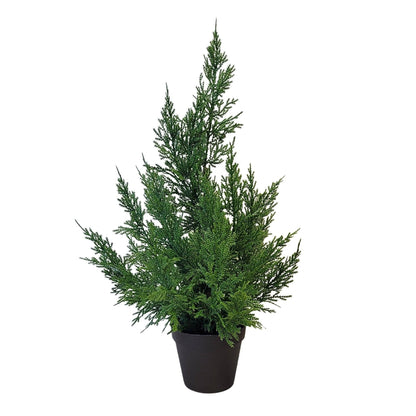 Fresh Touch Cedar Tree in Plastic Pot 21”