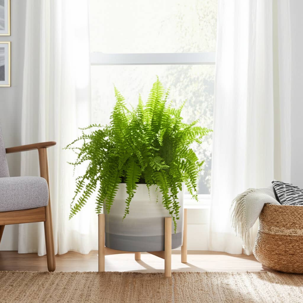 Ceramic Indoor/Outdoor Planter on Wood Stand - Beige, 12 in.
