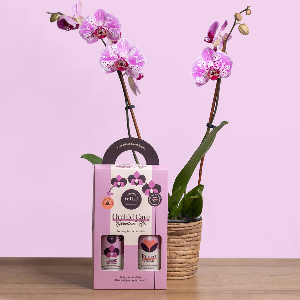 Orchid Care Essential Kit