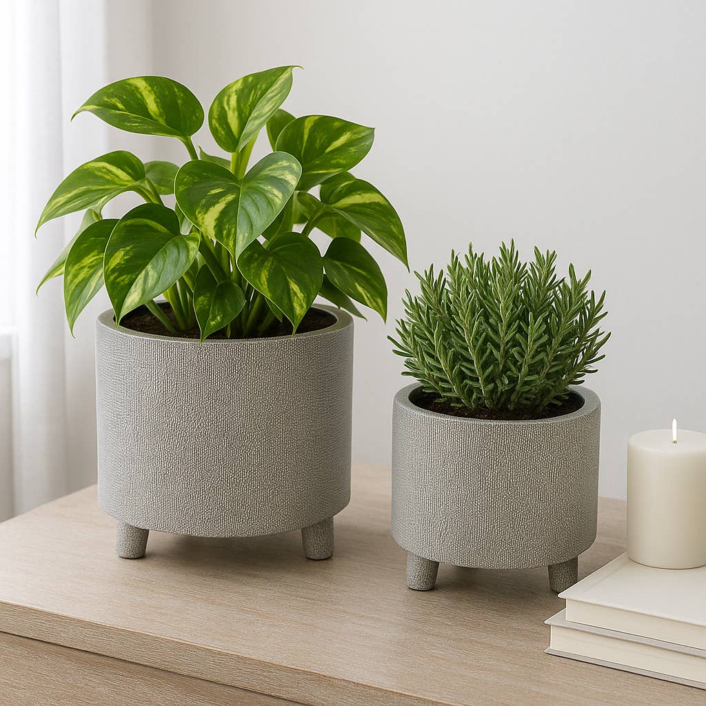 Planters Set of 2 - Silver Ceramic Footed Scratched, 6/8 in.