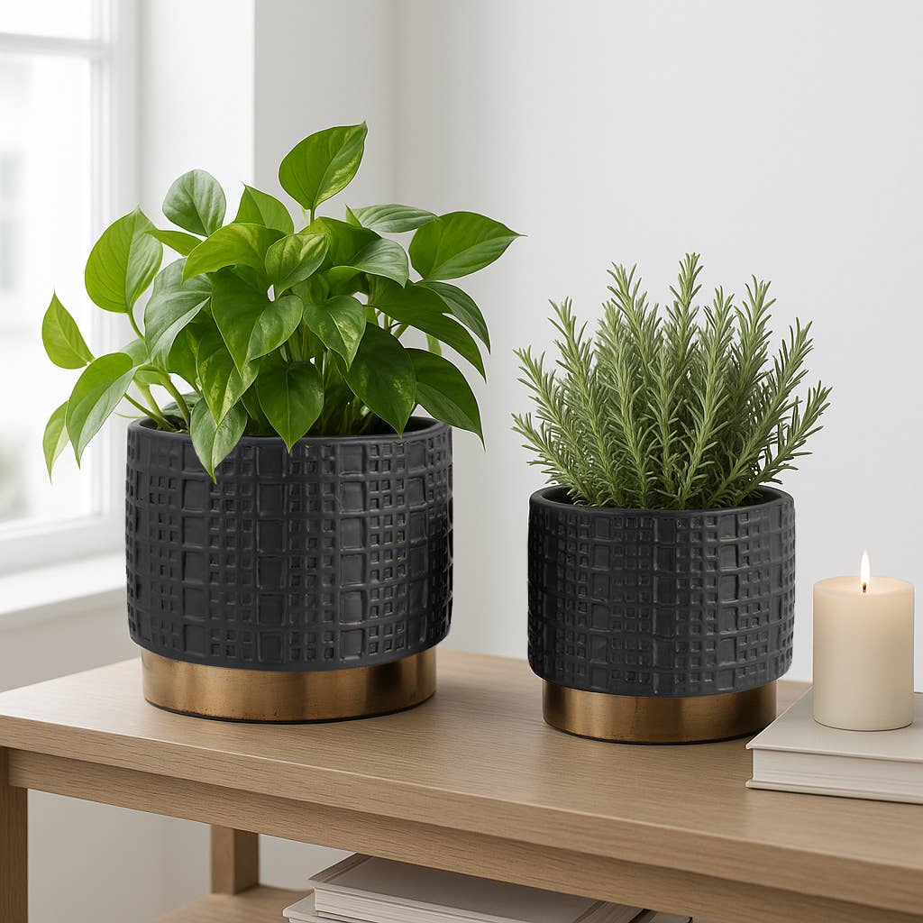Planter Set of 2 - Black Ceramic Raised Mesh, 6/8 in.