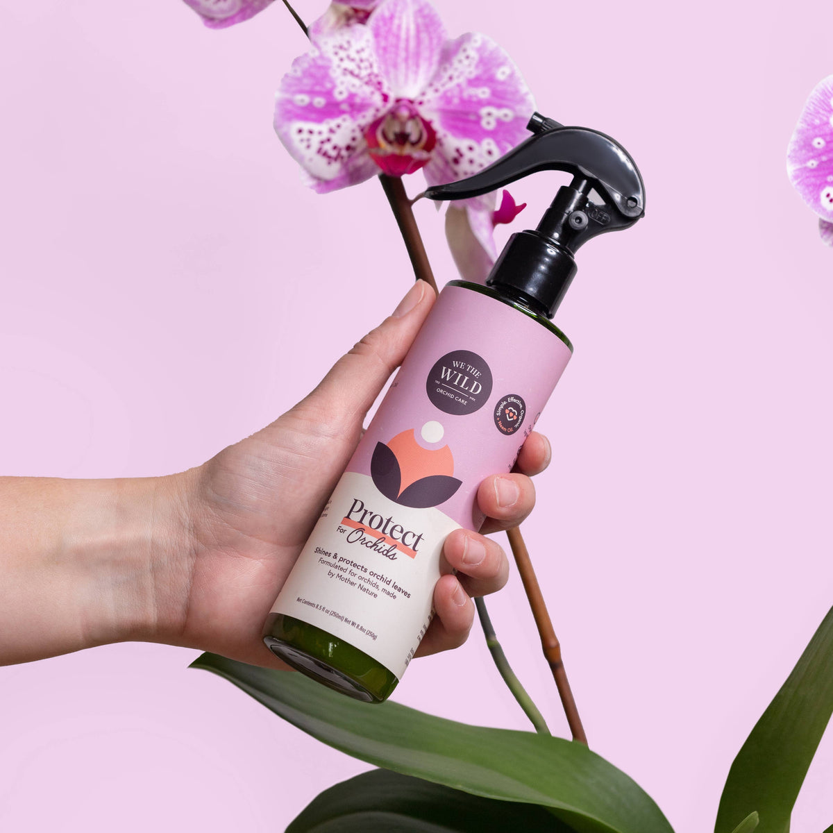 Orchid Care Essential Kit